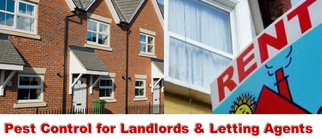 Wolverhampton Pest Control for Landlords and Lettting Agents